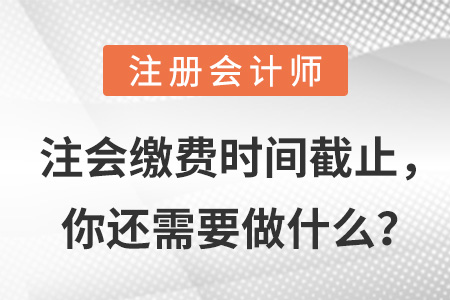 注會(huì)繳費(fèi)時(shí)間截止，你還需要做什么？