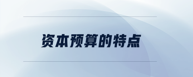 資本預(yù)算的特點