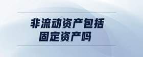非流動(dòng)資產(chǎn)包括固定資產(chǎn)嗎