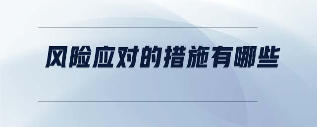 風(fēng)險應(yīng)對的措施有哪些