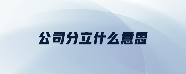 公司分立什么意思