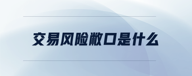 交易風(fēng)險(xiǎn)敝口是什么