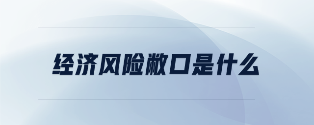 經(jīng)濟(jì)風(fēng)險(xiǎn)敝口是什么