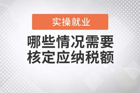 哪些情況需要核定應納稅額？