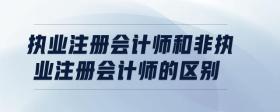 執(zhí)業(yè)注冊會計師和非執(zhí)業(yè)注冊會計師的區(qū)別