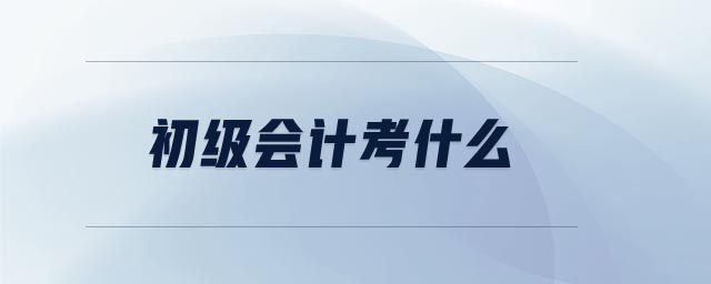初級會計考什么
