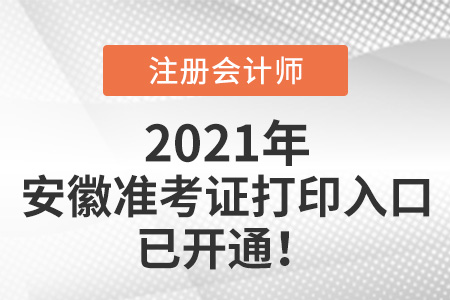 安徽省宿州2021年注冊(cè)會(huì)計(jì)師打印準(zhǔn)考證網(wǎng)站已開通