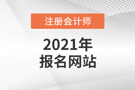 注冊(cè)會(huì)計(jì)師報(bào)名網(wǎng)站