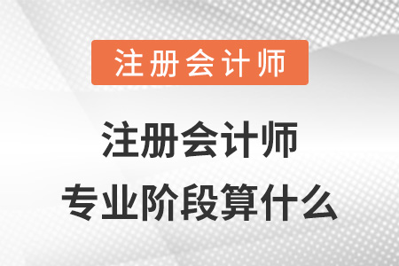 注冊會計(jì)師專業(yè)階段算什么