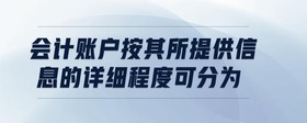 會計賬戶按其所提供信息的詳細程度可分為