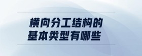 橫向分工結(jié)構(gòu)的基本類型有哪些