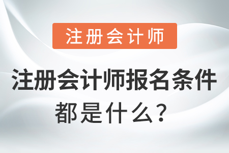 注冊會計師報名條件都是什么