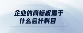 企業(yè)的商標權(quán)屬于什么會計科目