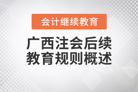 2021年廣西壯族自治區(qū)注冊會計師后續(xù)教育規(guī)則概述