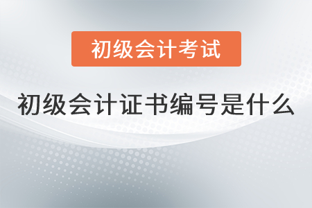 初級會計證書編號是什么？