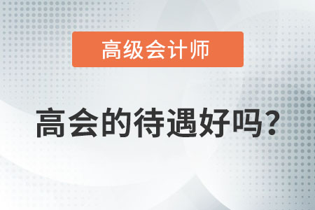 高級(jí)會(huì)計(jì)師的待遇好嗎？