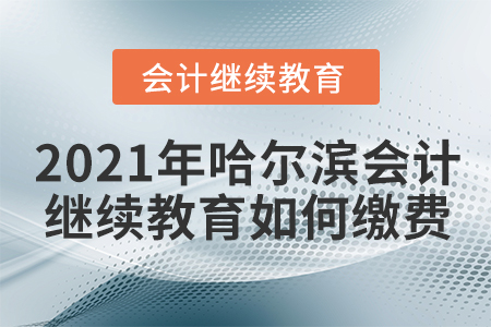 2021年哈爾濱會計繼續(xù)教育如何繳費?