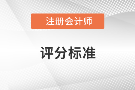 注會試題評分標(biāo)準(zhǔn)是什么？
