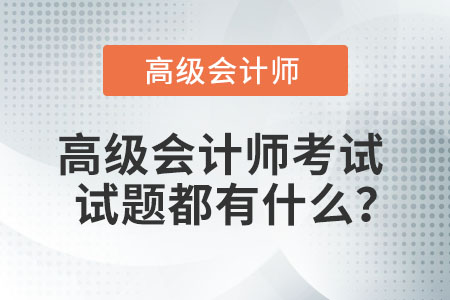 高級(jí)會(huì)計(jì)師考試試題都有什么？