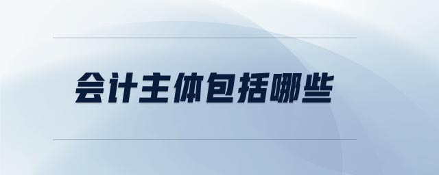 會計(jì)主體包括哪些