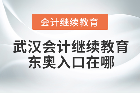 武漢會計繼續(xù)教育東奧入口在哪？