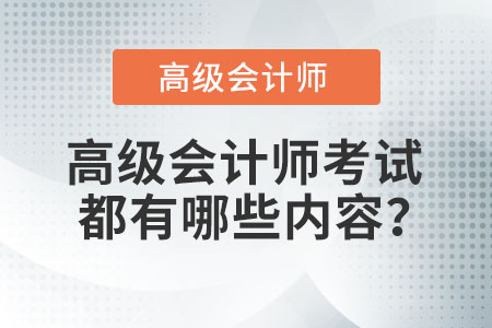 高級會計(jì)師考試都有哪些內(nèi)容？