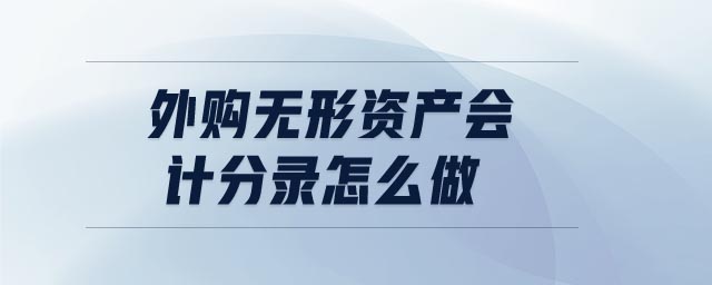 外購無形資產(chǎn)會(huì)計(jì)分錄怎么做