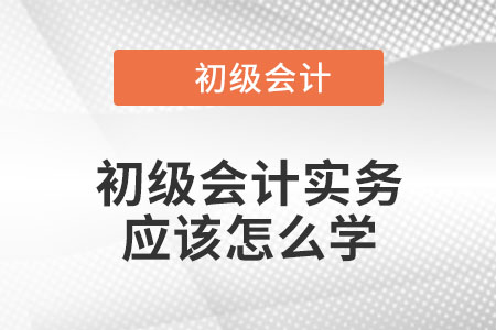 初級會計實務(wù)應(yīng)該怎么學(xué)？