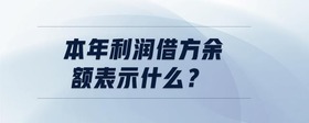 本年利潤借方余額表示什么？