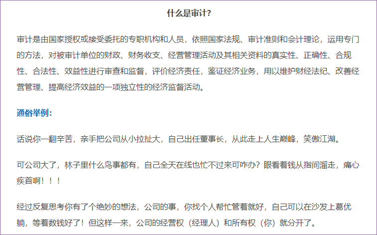 什么是審計