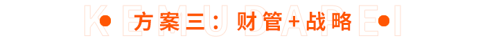 方案三：財管+戰(zhàn)略