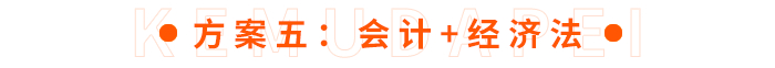 方案五：會計+經濟法