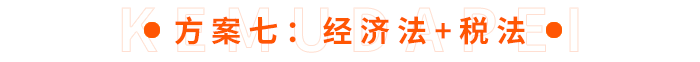方案七：經濟法+稅法