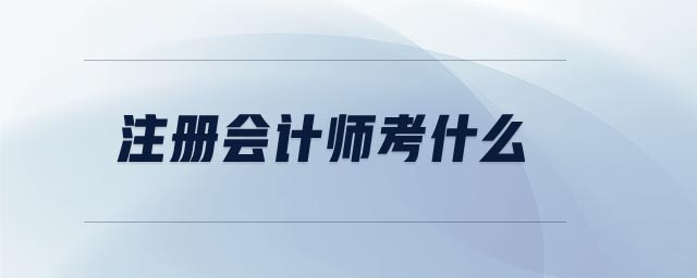 注冊會計師考什么