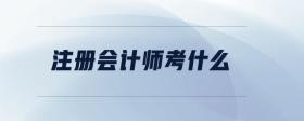 注冊會計師考什么