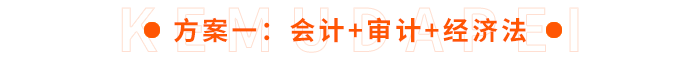 方案一：會(huì)計(jì)+審計(jì)+經(jīng)濟(jì)法
