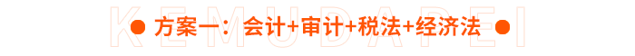 方案一：會計+審計+稅法+經(jīng)濟法