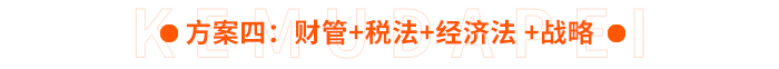 方案四：財管+稅法+經(jīng)濟法+戰(zhàn)略