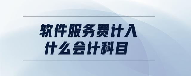 軟件服務(wù)費(fèi)計(jì)入什么會(huì)計(jì)科目