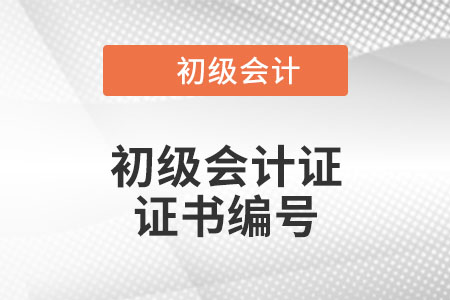 初級(jí)會(huì)計(jì)證證書編號(hào)在哪里？