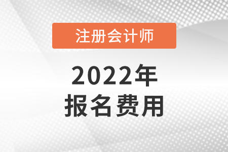 2022年北京市延慶縣cpa報名費是多少