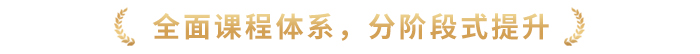 全面課程體系，分階段式提升