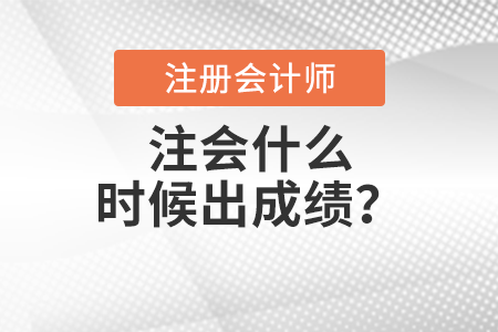 注會(huì)什么時(shí)候出成績(jī)？