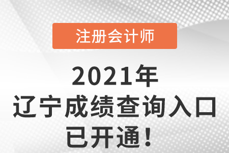 2021年遼寧省阜新cpa考試成績(jī)查詢?nèi)肟谝验_通！