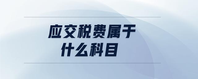 應(yīng)交稅費(fèi)屬于什么科目