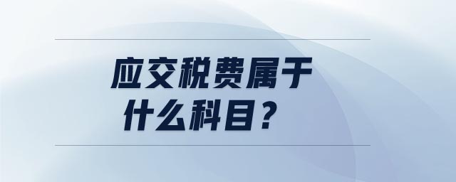 應(yīng)交稅費屬于什么科目