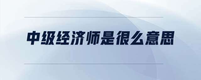 中級經(jīng)濟師是很么意思