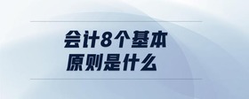 會計8個基本原則是什么