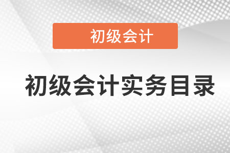 初級(jí)會(huì)計(jì)實(shí)務(wù)目錄哪里有？