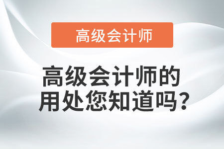 高級(jí)會(huì)計(jì)師的用處您知道嗎？